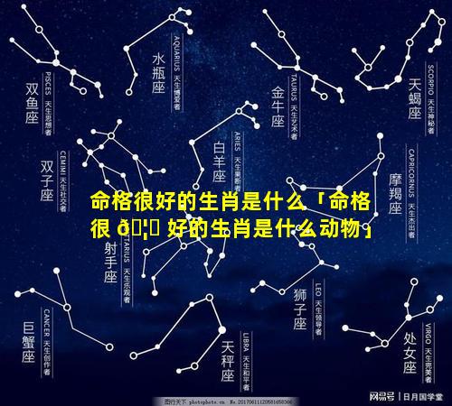 命格很好的生肖是什么「命格很 🦆 好的生肖是什么动物」